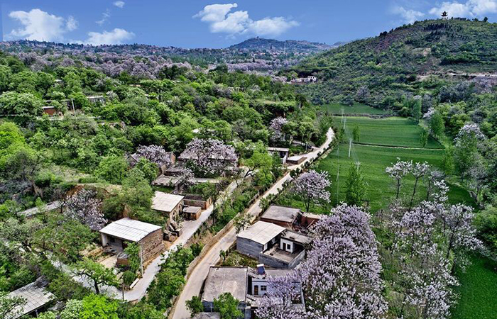 禹州市農(nóng)村生活垃圾治理市場(chǎng)化項(xiàng)目